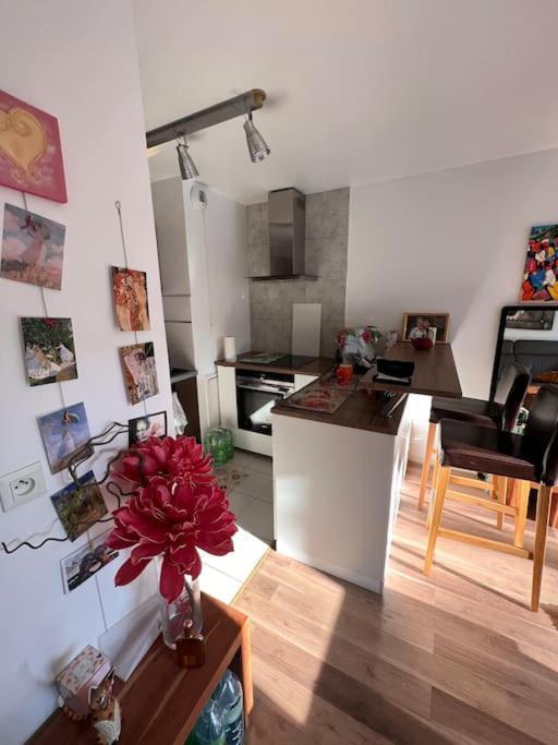 רוסני-סו-בואה Appart 2 Chambres 17 Min De Paris מראה חיצוני תמונה